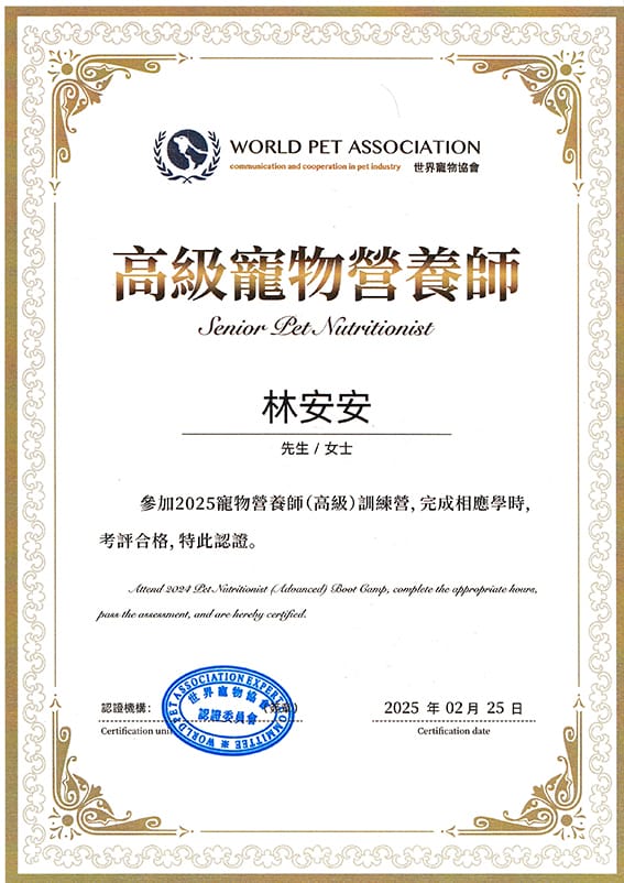 Certificate 2