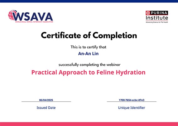 Certificate 2