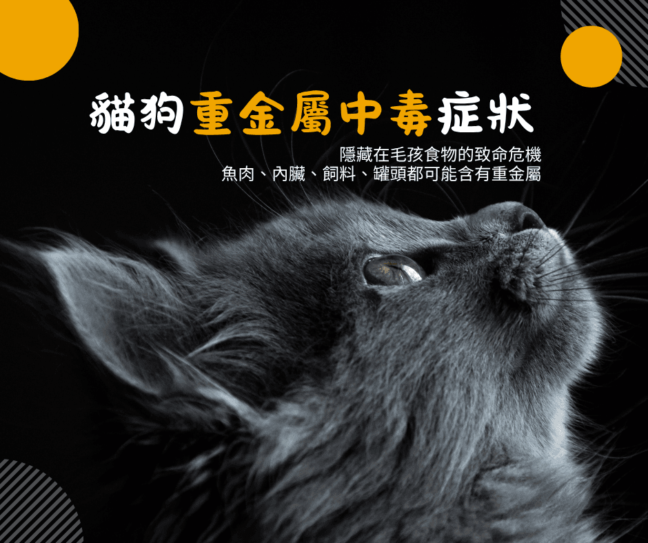 貓狗重金屬症狀