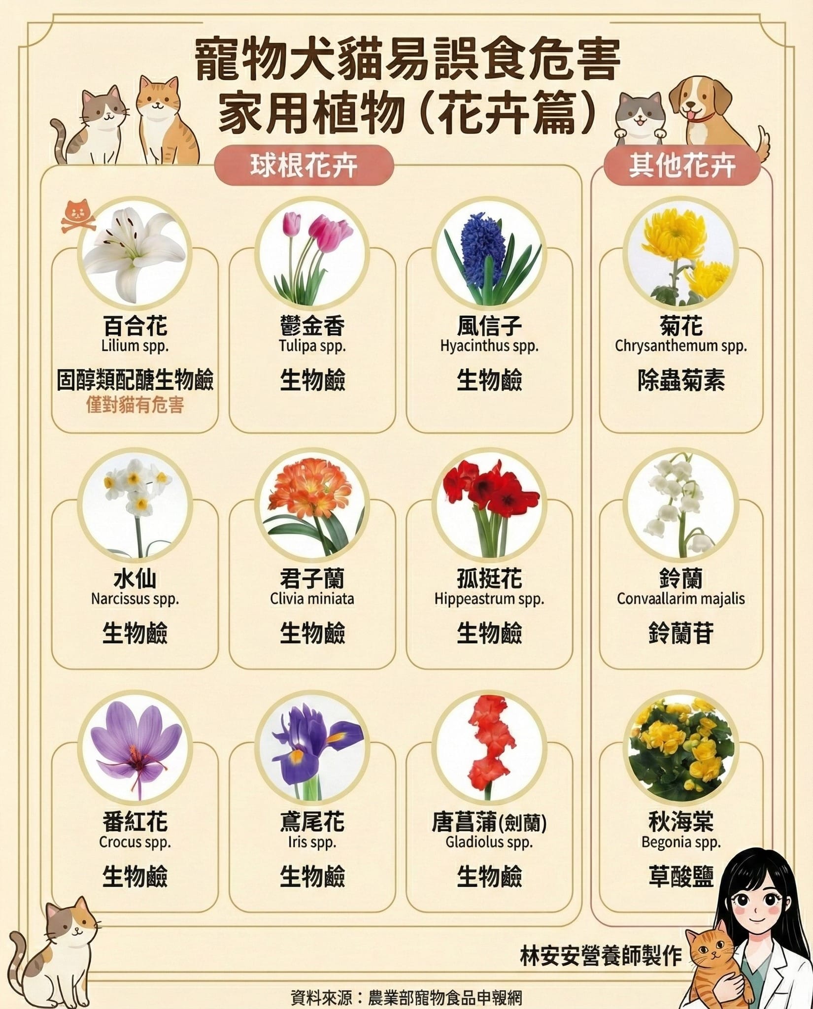 寵物犬貓易誤食危害家用植物圖鑑（花卉篇）
