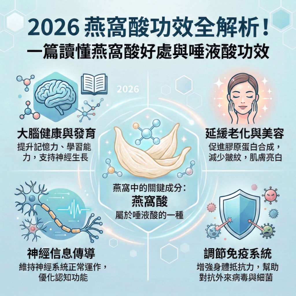 2026 燕窩酸功效全解析！一篇讀懂燕窩酸好處與唾液酸功效