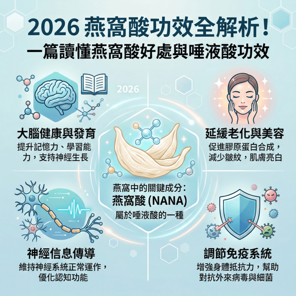 2026 燕窩酸功效全解析！一篇讀懂燕窩酸好處與唾液酸功效