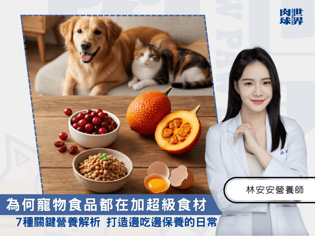【寵物保健趨勢】貓狗飼料都在加的「超級食材」是什麼？營養師解析7大關鍵成分