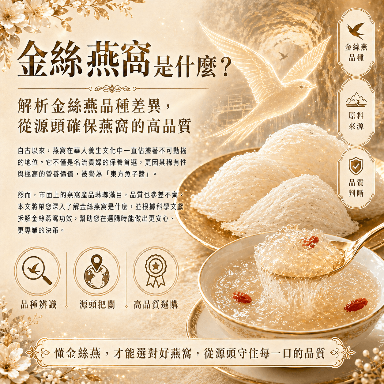 金絲燕窩是什麼？解析金絲燕品種差異，從源頭確保燕窩的高品質