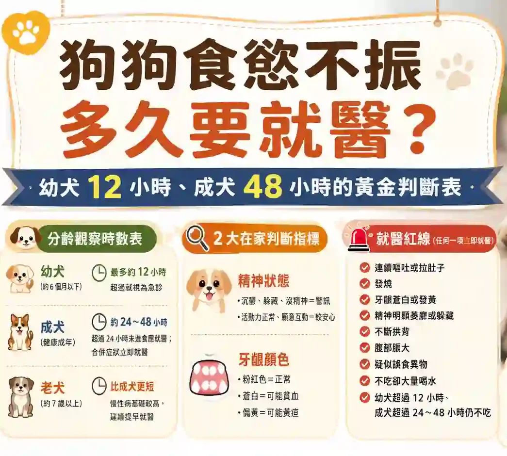 狗狗食慾不振多久要就醫？幼犬 12 小時、成犬 48 小時的黃金判斷表