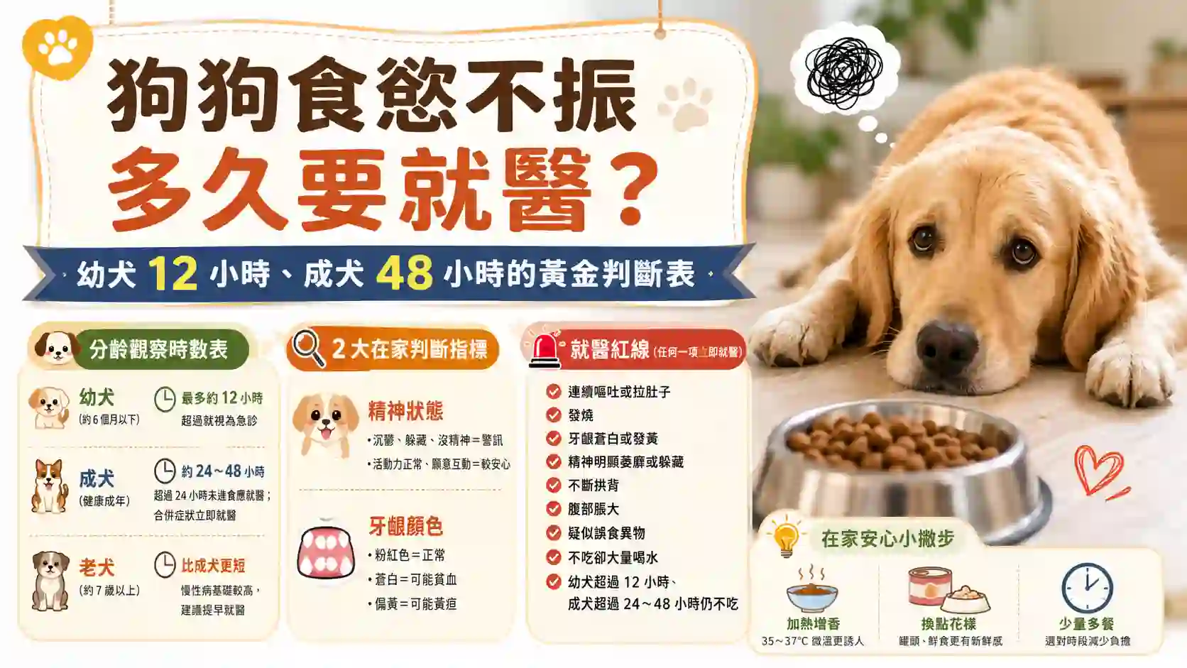狗狗食慾不振多久要就醫？幼犬 12 小時、成犬 48 小時的黃金判斷表
