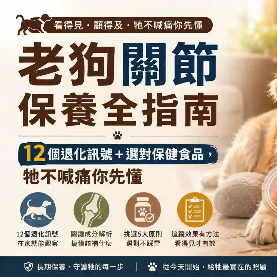 老狗關節保養全指南：12個退化訊號＋選對保健食品，牠不喊痛你先懂