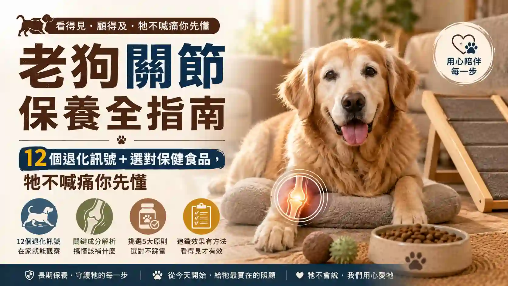 老狗關節保養全指南：12個退化訊號＋選對保健食品，牠不喊痛你先懂