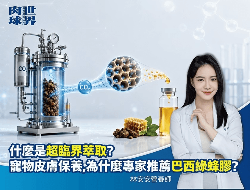 狗狗皮膚癢、反覆發炎？專家推薦「巴西綠蜂膠」對抗皮膚問題的 3 大實證