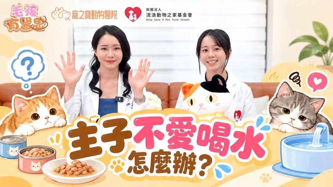《毛孩有醫思》第五集｜主子不愛喝水怎麼辦？