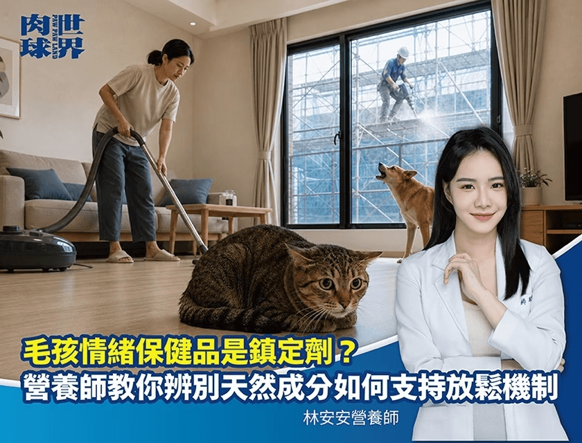 貓狗焦慮害怕怎麼辦？寵物情緒保健品吃完會昏睡？揭密最新 5 大舒壓成分
