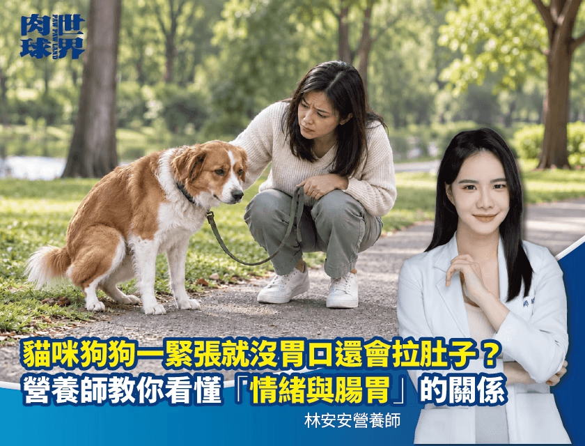 狗狗緊張拉肚子、貓咪外宿不吃飯？解析寵物「腸腦軸線」與壓力腸胃炎！